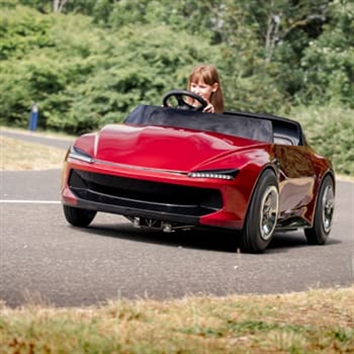 Young Driver-Firefly